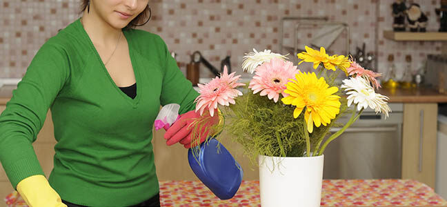 Professional Cleaning Services in Rancho Cucamonga