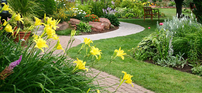 6 Landscape Strategies that Enhance Home Security