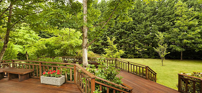 How landscape value can be boosted-up by customized landscaping?