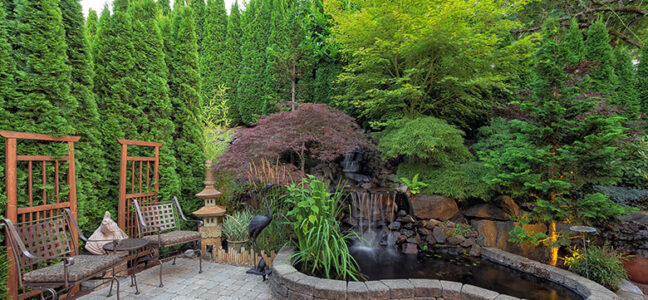 Beautify your dream home with backyard waterfall